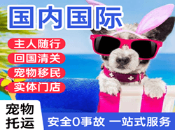 阿荣机场快运国际宠物托运 【国